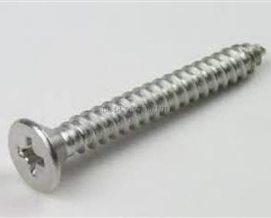 Vít Gỗ Inox