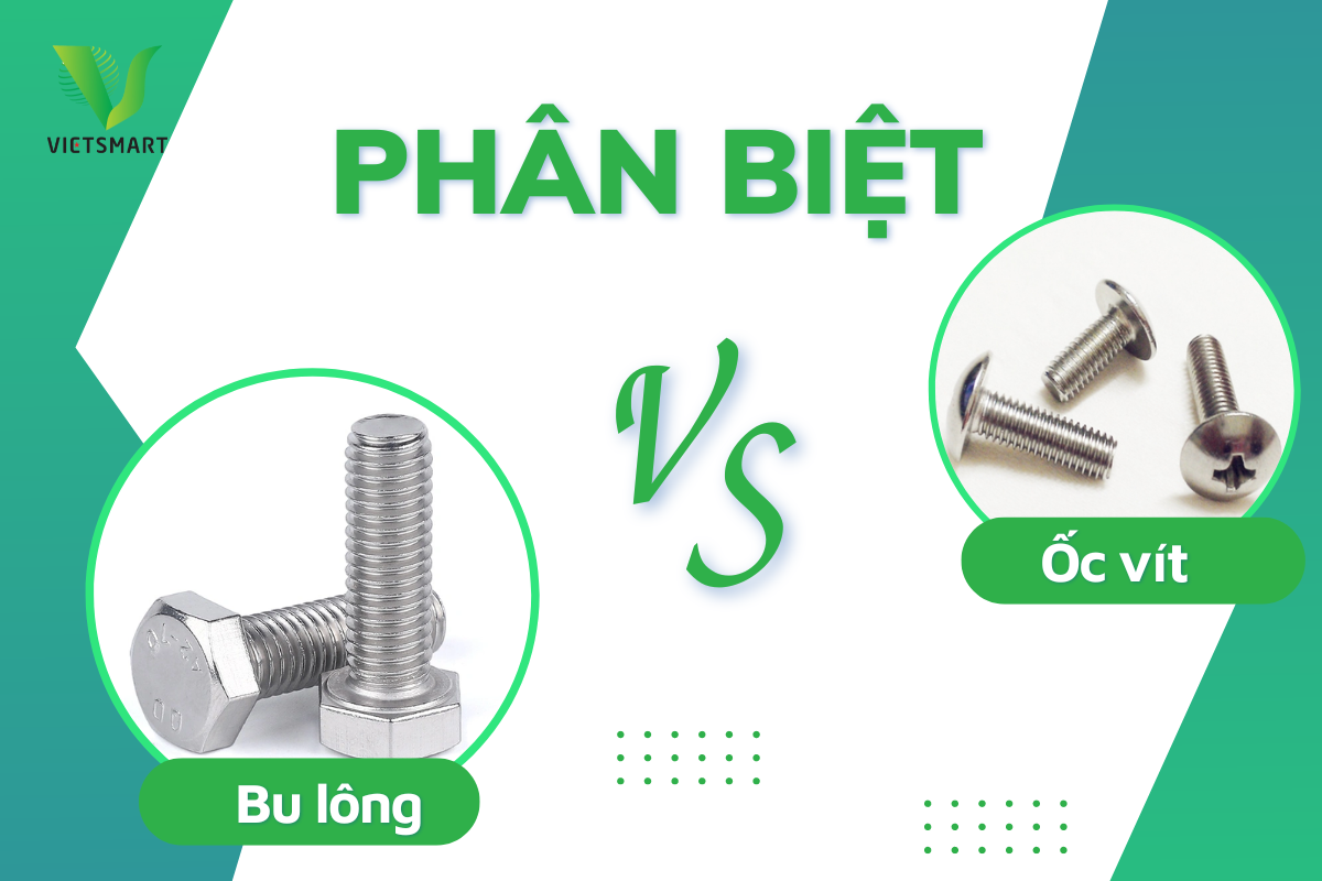 phan-biet-bu-long-voi-oc-vit